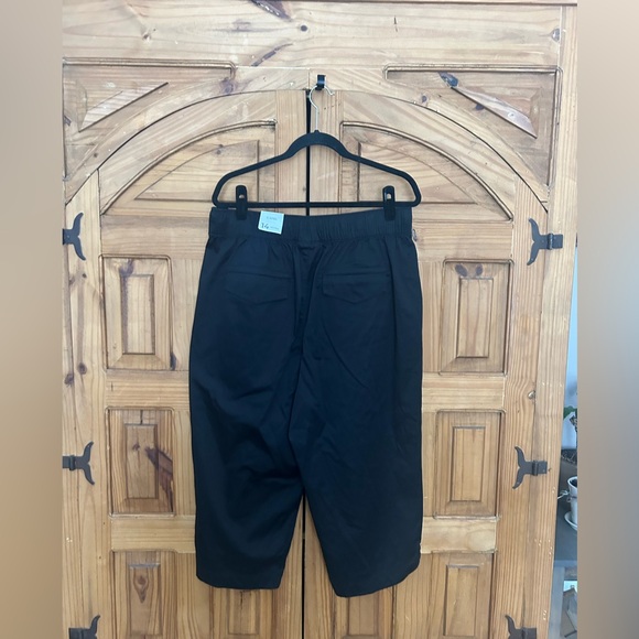 LANE BRYANT Mid Rise Capri - Picture 7 of 8